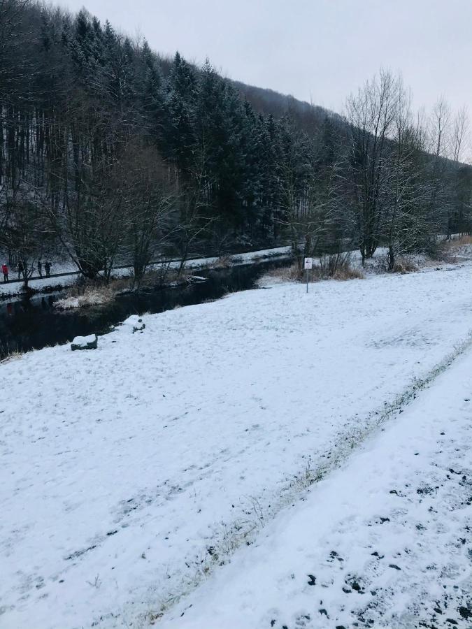 Ferienwohnung Losenberg Olsberg Bagian luar foto