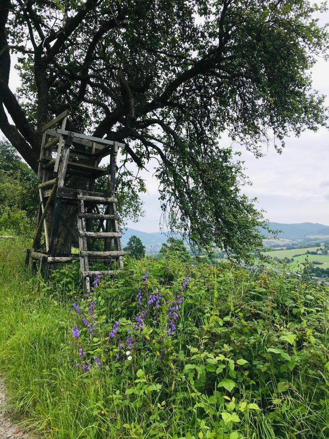 Ferienwohnung Losenberg Olsberg Bagian luar foto